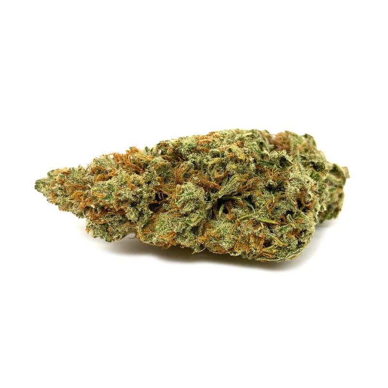 Black Jack | Diem Farms